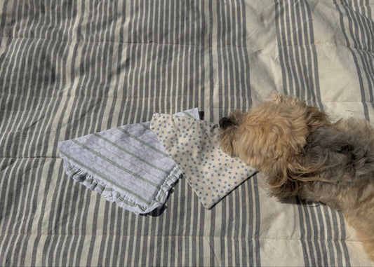 Small dog lying on bandanas on top of a striped blanket